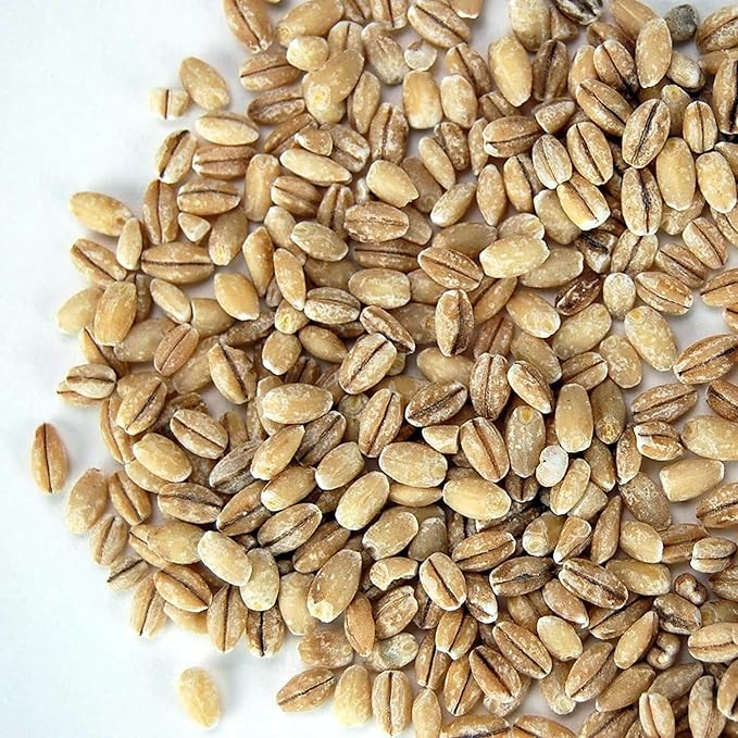 Organic Pearled Barley (Hulled) - 30 Lb Re-Sealable Bucket - Barley Grains for Flour, Bread, Beer Making Animal Feed, Food Storage & More