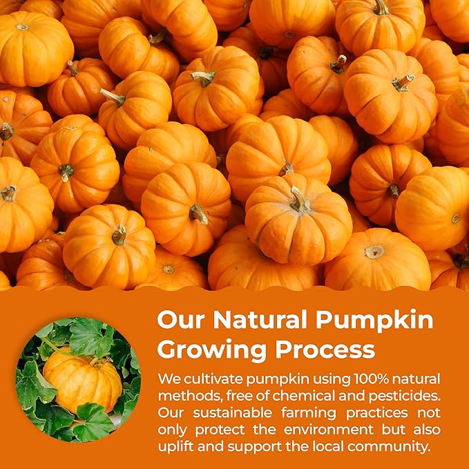 eHerbal Pure Freeze-Dried Pumpkin Powder, 2.43 oz – 100% Natural Pumpkin, No Additives or Preservatives, Non-GMO, Gluten-Free, for Baking, Cooking, Smoothies Versatile for Vegans and Vegetarians