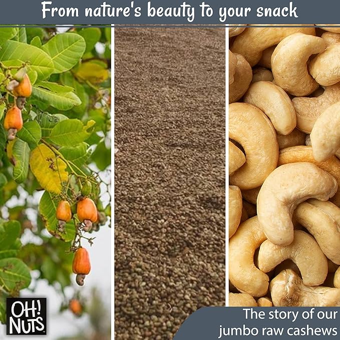 Oh! Nuts Raw Whole Unsalted Cashews - Raw - 100% Natural - 2 lb - Jumbo Cashews - Packed in New York Zip-Seal Bag for Exceptional Freshness