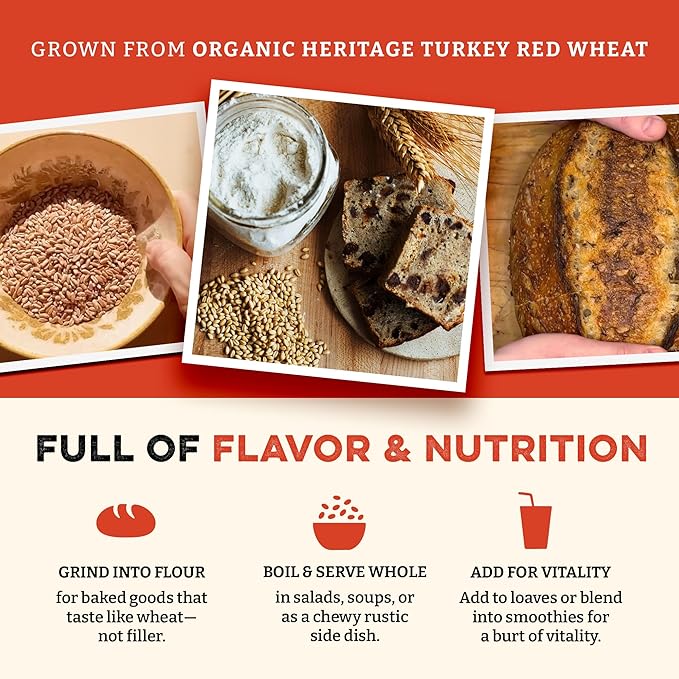 Sunrise Flour Mill Heritage Hard Red Wheat Berries (Turkey Red) (400 Ounce (Pack of 1)) Certified Organic | Non-GMO | Unprocessed | Vegan | Kosher | Shelf-stable Whole Wheat Berries Organic