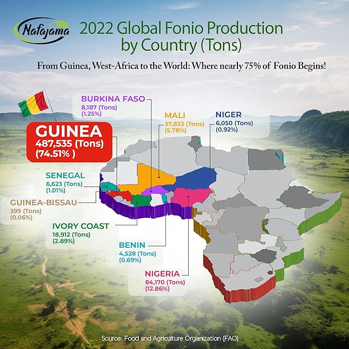 Nafajama Premium Gluten-Free White Fonio Flour | Ancient African Superfood | All-Natural, Non-GMO, Vegan, High-Fiber – 1 Bag of 110 lb / 50 kg
