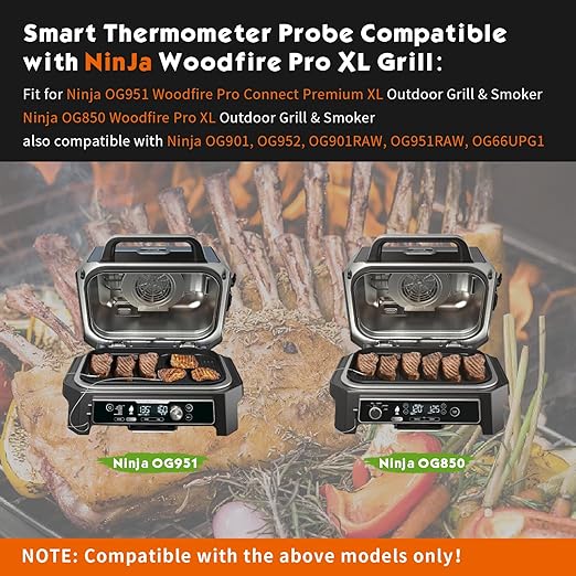 2 Pack Replacement Smart Thermometer Probe for Ninja OG951/OG850 Woodfire Pro XL Outdoor Grill & Smoker, Temperature Probe Accessories Compatible with Ninja OG900 Series and OG850