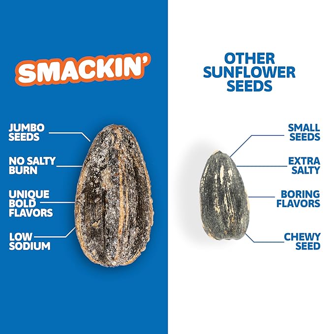 SMACKIN' - Jumbo Roasted Sunflower Seeds, No Salty Burn, American Made, Easy Pour & Seal - Cinnamon Churro, 4oz bag (12 Bags)