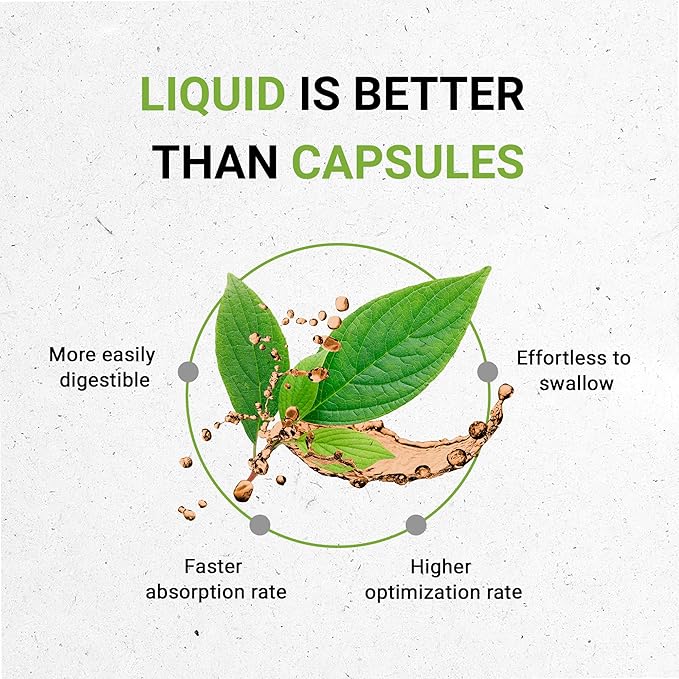 Spearmint Alcohol-Free Liquid Extract, Spearmint (Mentha spicata) Dried Leaf Tincture Supplement (4 FL OZ)