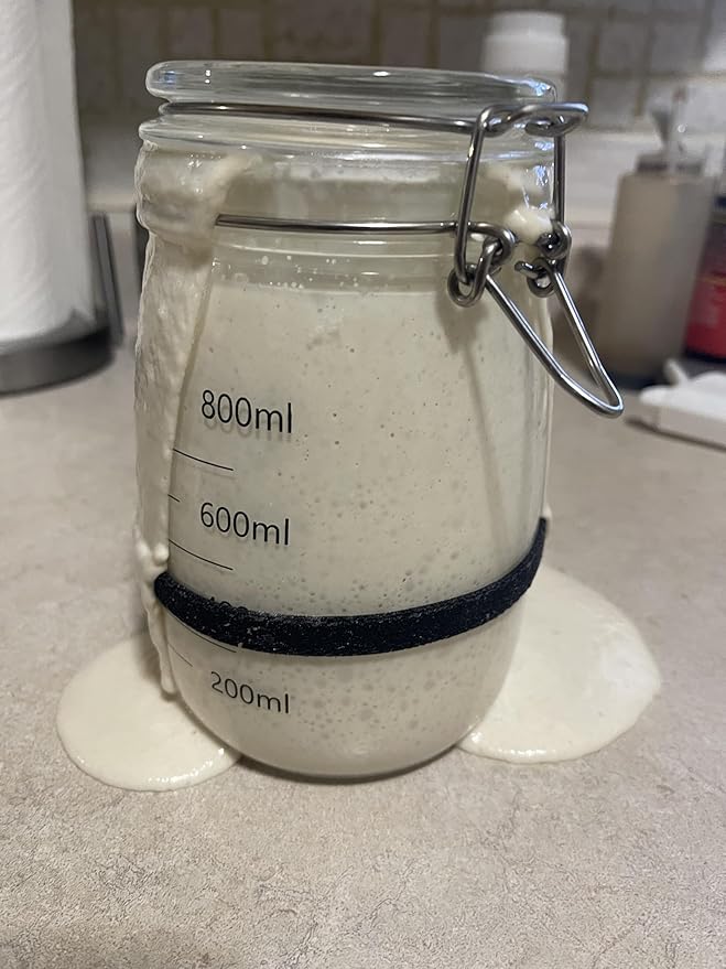 Wild Yeast Sourdough Starter-Three 25g Packages Included! Use 1 Now and 2 For Back-up!