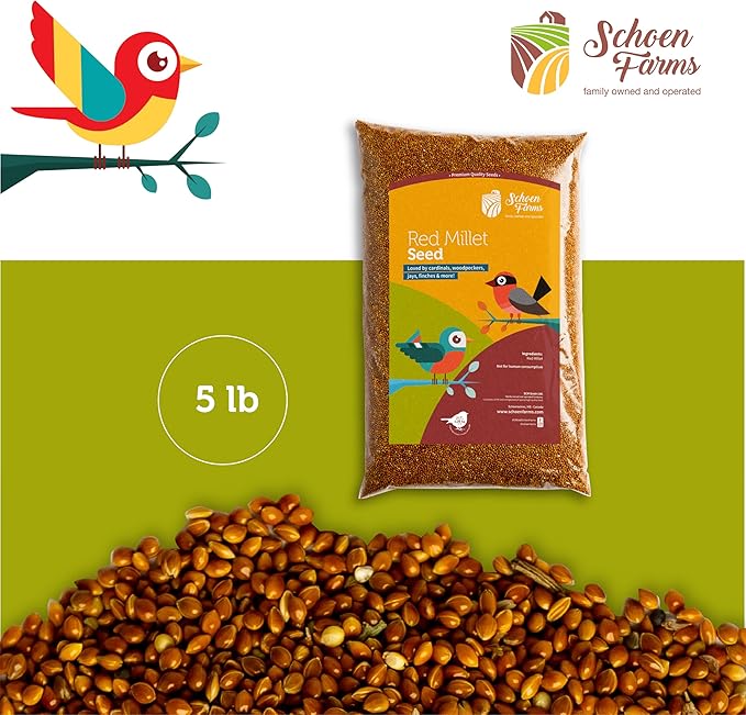 Red Millet (5 LBS) for Birds Cardinals, Chickadees, Nuthatches, Woodpeckers and Songbirds