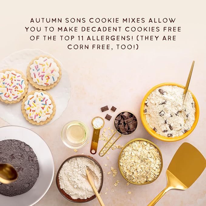 Autumn Sons Baking Co. Gluten Free Cookie Mix Variety Pack. Sugar Cookie, Chocolate Chunk, Double Chocolate Chunk & Oatmeal Cinnamon. Vegan Plant Based Baking Mix. Top 9 Allergen Free. 9.3 oz (Pack of 4)