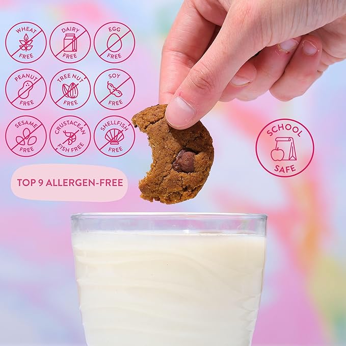 Bake Me Healthy Gluten-Free Cookies - Chocolate Chip (10 Count), Vegan, Gluten Free, Nut Free & Dairy Free, Healthy Snacks for Kids or Adults, School Safe, Low Sugar