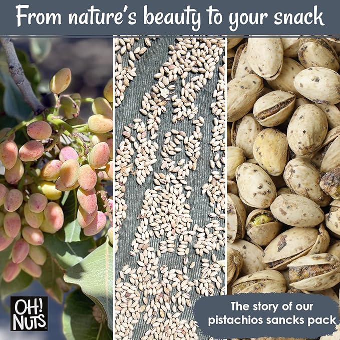 Oh! Nuts Spiced Pistachios – Salt & Pepper, 2 LB – Savory Seasoned Pistachios, Roasted Crunchy Snack – Packed in Reclosable Bag to Maintain Freshness