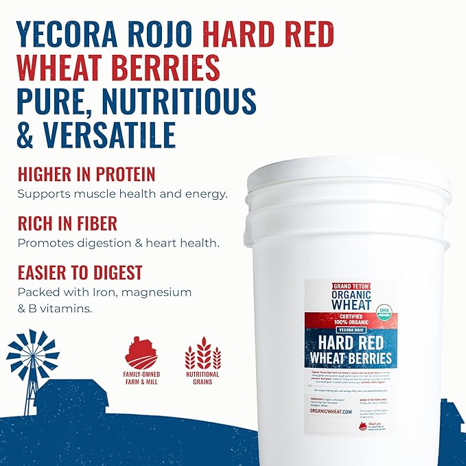 Yecora Rojo Hard Red Wheat Berries by Grand Teton Organic Wheat | Organic Hard Red Spring Wheat Berries for Baking Whole Grain Breads or Milling Into Flour | Non-GMO, (43 Pounds)