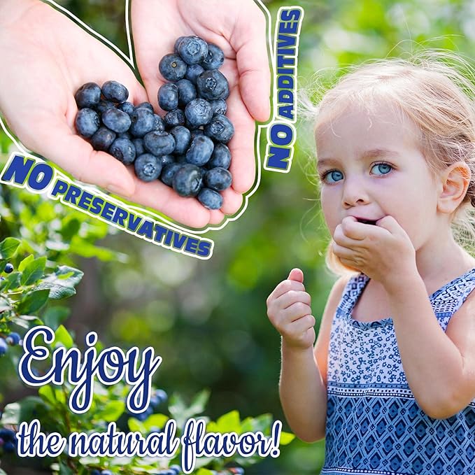 Freeze Dried Blueberry Powder - Kiigfood 6 oz/170g Natural Blueberry Powder Fruit Powder, Organic Blueberry Extract for Smoothie, Drinks, Christmas Baking, Cakes Decoration - Vegan, Non-GMO, Gluten-Free