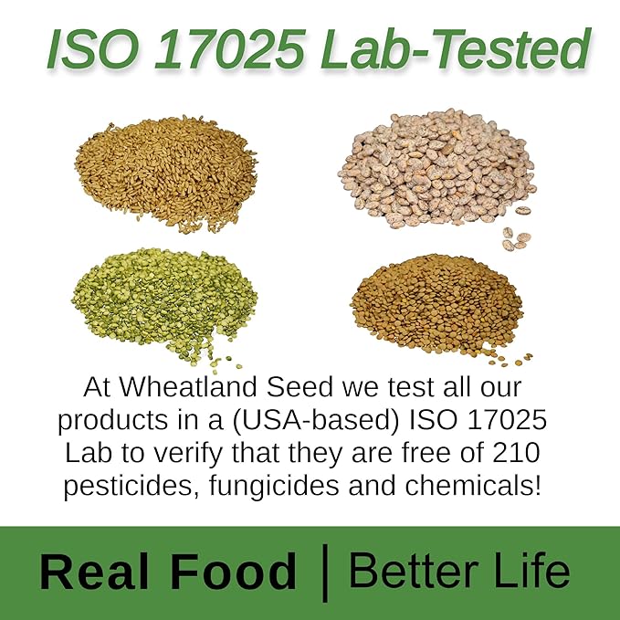 Hard Red Wheat Berries : Wheatland™ : 25 lb Bulk: Emergency Preparedness : Mylar : Oxygen Absorber : 30 Year Shelf Life : Non GMO: NO Glyphosate : Long Term Food Storage
