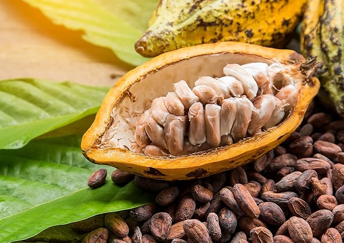 Food to Live Cacao Paste Wafers, 2 Pounds - Premium Raw Cacao Liquor, Pure, Unsweetened, Vegan, Bulk. Rich in Antioxidants, Essential Minerals. Perfect for Homemade Desserts, Chocolate Bars
