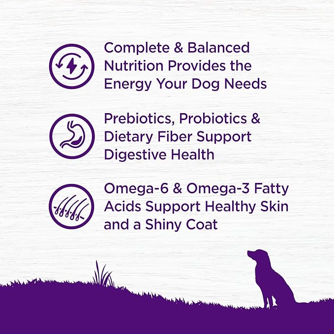 Wellness Complete Health Dry Dog Food, Grain Free, Natural, Lamb Recipe, (24-Pound Bag)