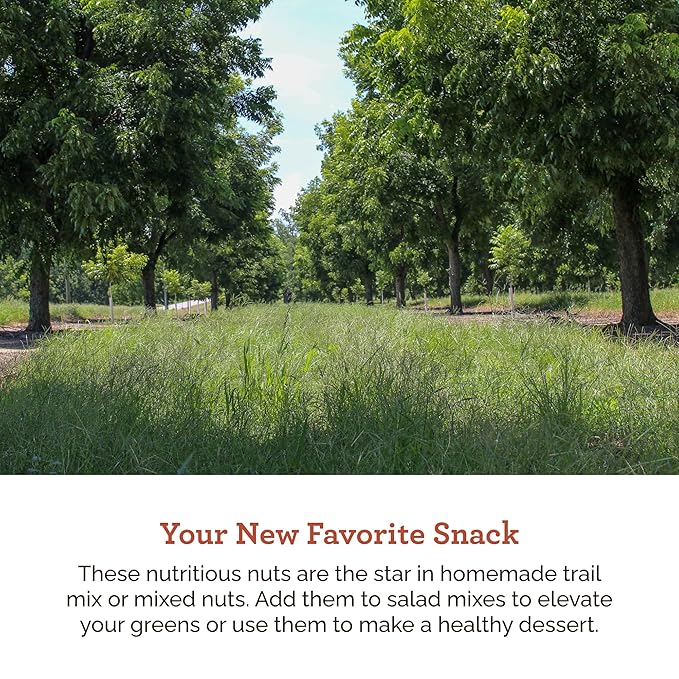 HUDSON PECAN COMPANY | Fresh Delicious Fancy Georgia Pecan Halves | Local, Gluten-Free, Keto-Friendly & Kosher Certified | Perfect for Baking, Cooking, Desserts & Snacking, 12 oz Resealable Bag