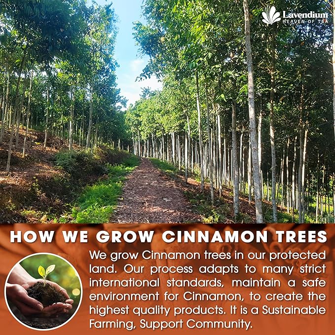 Lavendium, 40 Pure Cinnamon Tea Bags, Made of 100% Natural Cinnamon Sticks, Herbal Tea, No Additives, No Caffeine, No Gluten, Vegan.