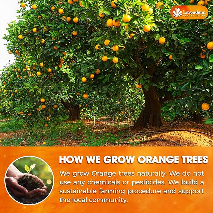 Lavendium, Premium Dried Orange Slices 6oz – Natural Dehydrated Citrus Wheels for Tea, Cocktails, Baking, Holiday Decorations, Potpourri, and Crafts. Vegan