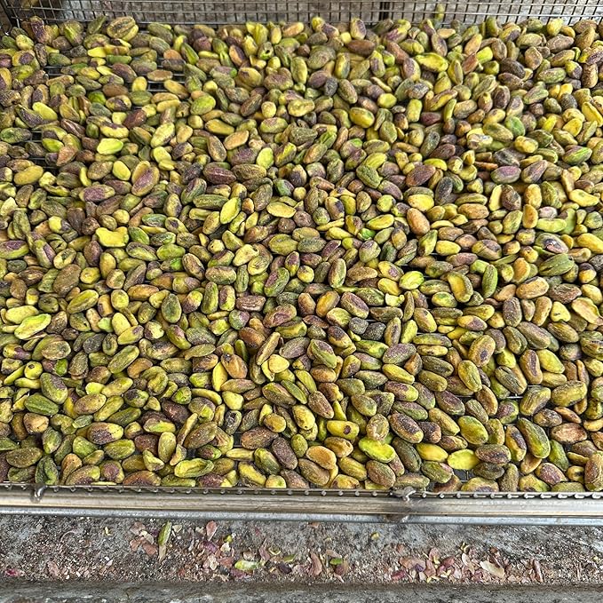 Tastachios Wood Fire Roasted Pistachios - Original Flavor - Gluten-Free, Plant-Based Protein, Non-GMO, Keto-Friendly - Vegan Snack - Roasted Pistachio Nuts - 8oz Resealable Bag (Pack of 2)