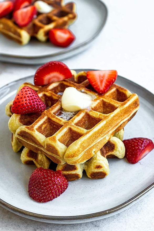 TruEats Pancake & Waffle Mix: Diabetic Friendly, Protein & Fiber Rich, Low Glycemic & Gluten Free, No Sugar Added, Vegan Friendly, Dairy Free, Plant Based, Sweetened with Monk Fruit Sweetener