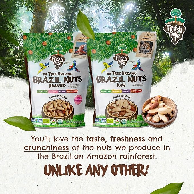 Raw Organic Brazil Nuts (15oz) + Roasted Organic Brazil Nuts Salted with Himalayan Salt (15oz) - (Bundle of 2)