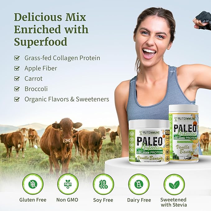 Paleo Perfection Double Chocolate Grass Fed Beef Collagen Protein Powder with Stevia - Paleo, Keto, SCD, AIP Protein Powder with Apple Fiber, Carrot & Broccoli - Protein Powder & Superfood Blend