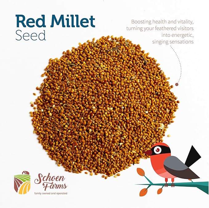 Red Millet (5 LBS) for Birds Cardinals, Chickadees, Nuthatches, Woodpeckers and Songbirds