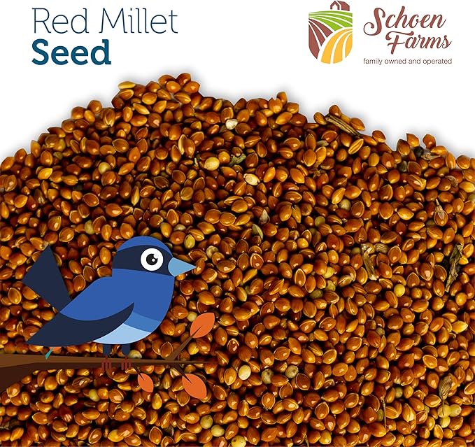 Red Millet (5 LBS) for Birds Cardinals, Chickadees, Nuthatches, Woodpeckers and Songbirds